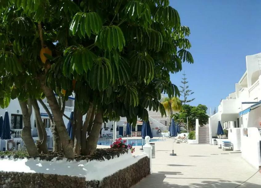 Porto Royale Apartment Los Cristianos  Exterior photo